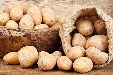 《东方的迷宫Tri 梦想少女与神秘的宝珠》Steam页面开放 不支持中文